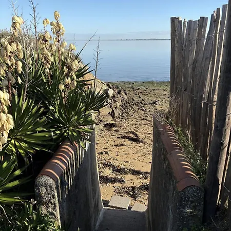 L'escale Les Pieds Dans L'eau *