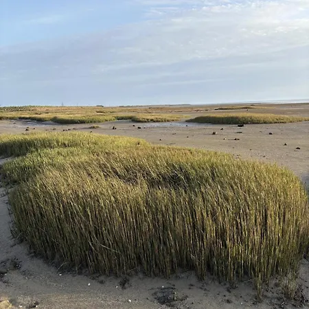 L'escale Les Pieds Dans L'eau 度假居